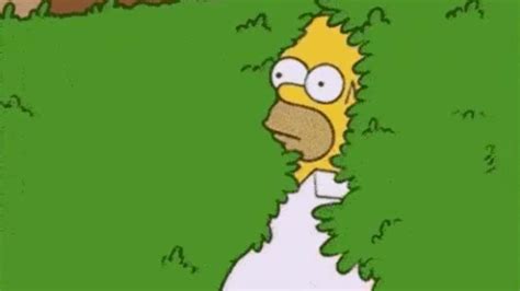 gif homer|homer backing into bushes gif.